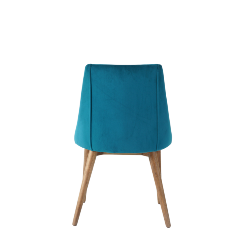 Carina Dining Chairs in Teal (2pk)