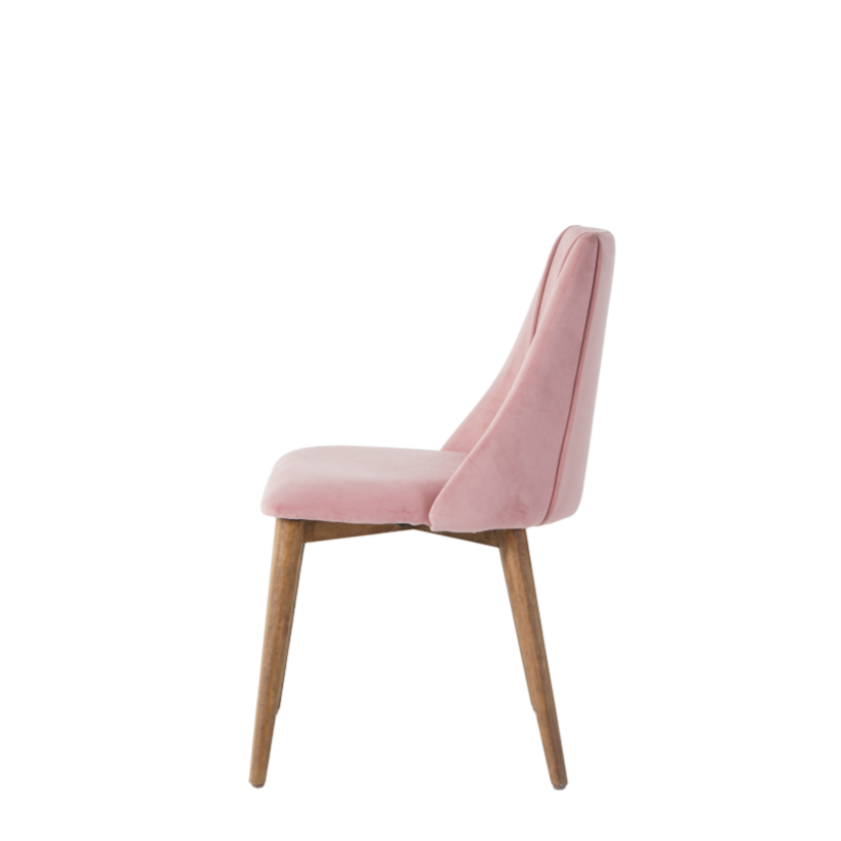 Carina Dining Chairs in Blush Pink (2pk)